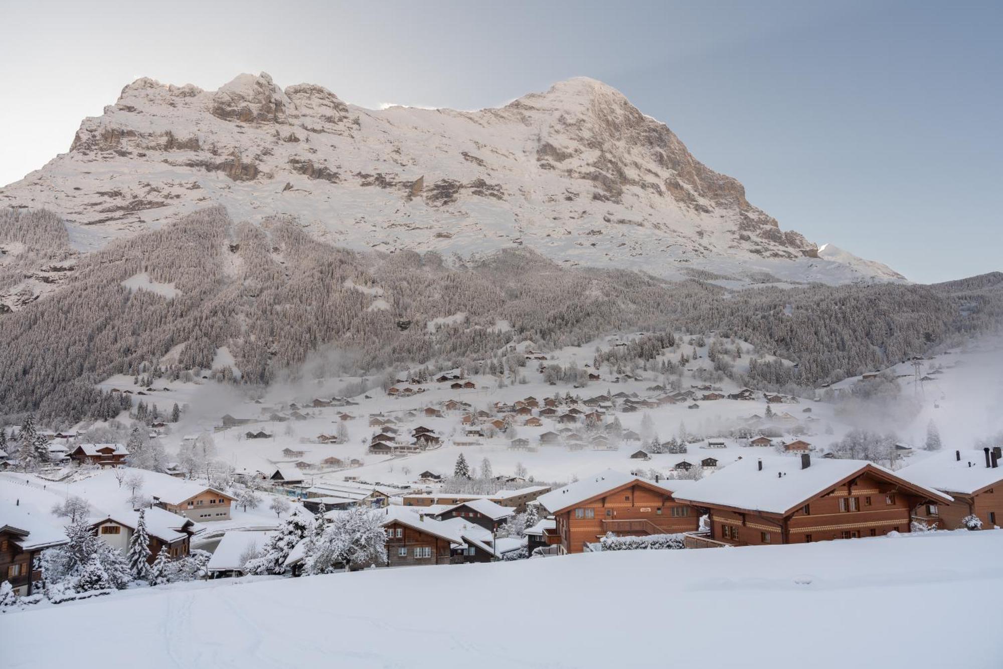 Chalet Alia - Swiss Hotel Apartments Grindelwald Exterior foto