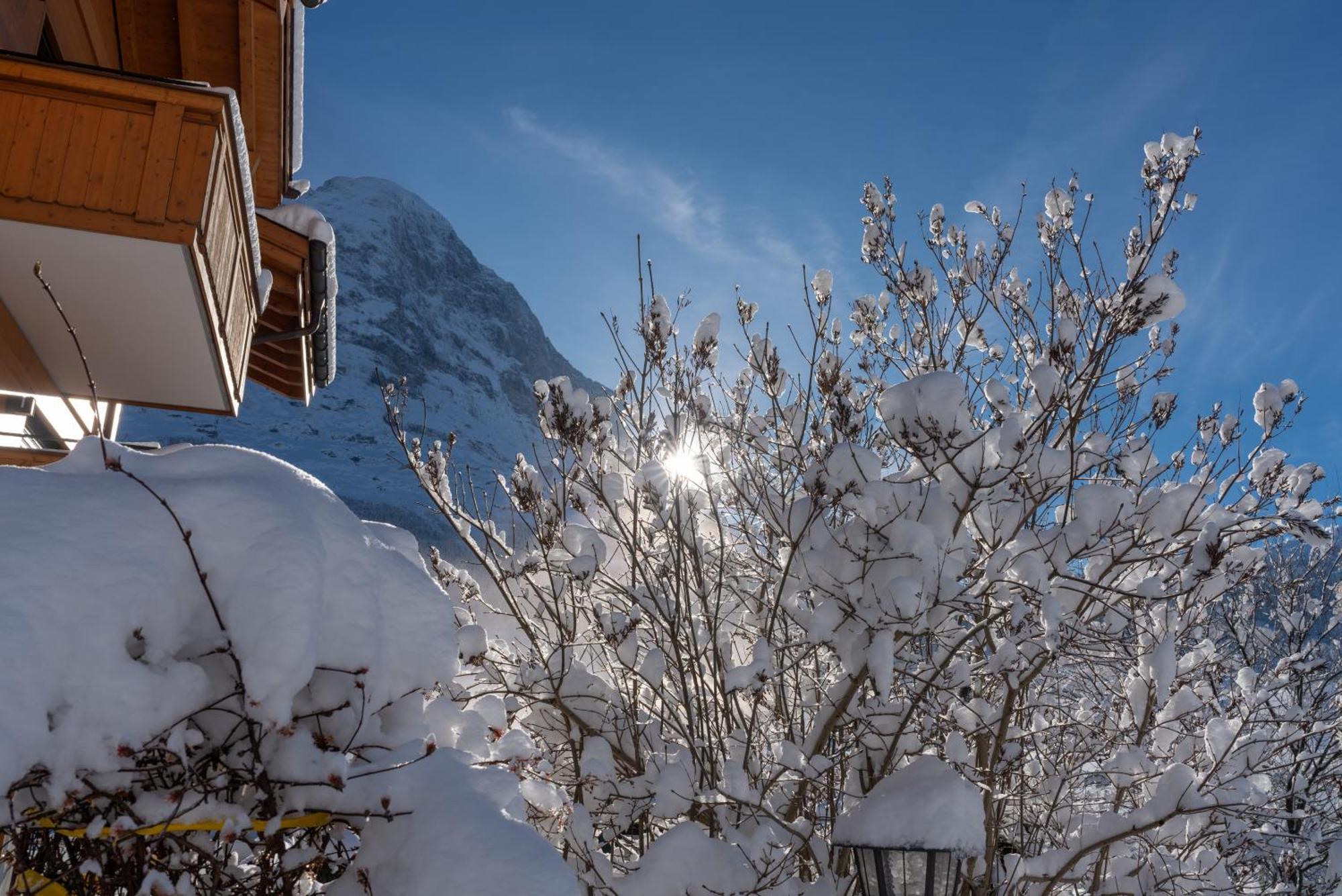 Chalet Alia - Swiss Hotel Apartments Grindelwald Exterior foto