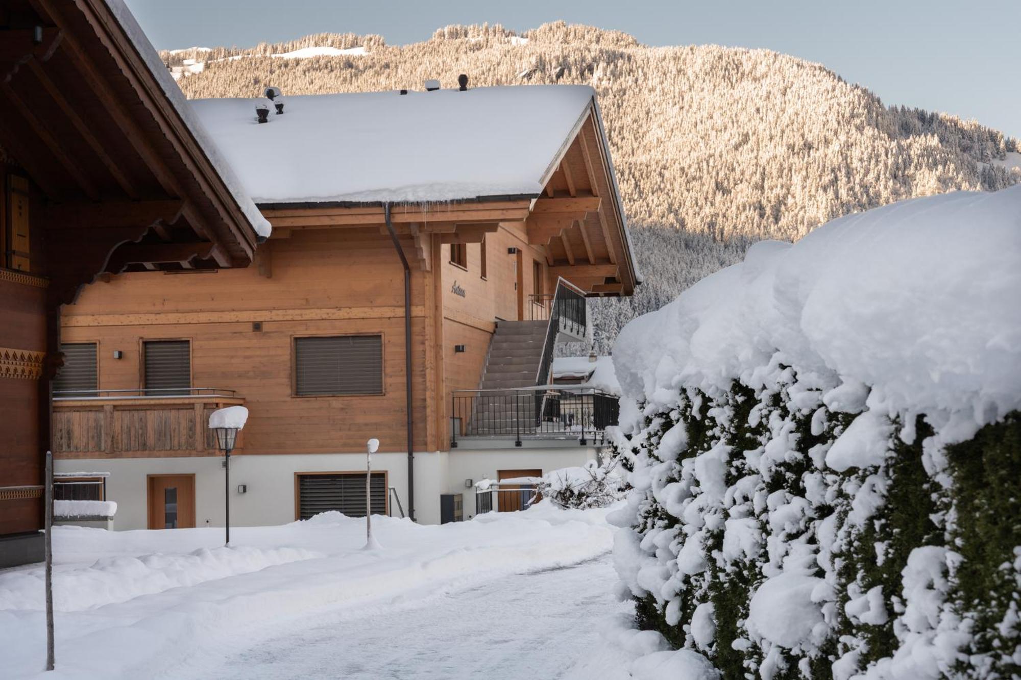 Chalet Alia - Swiss Hotel Apartments Grindelwald Exterior foto