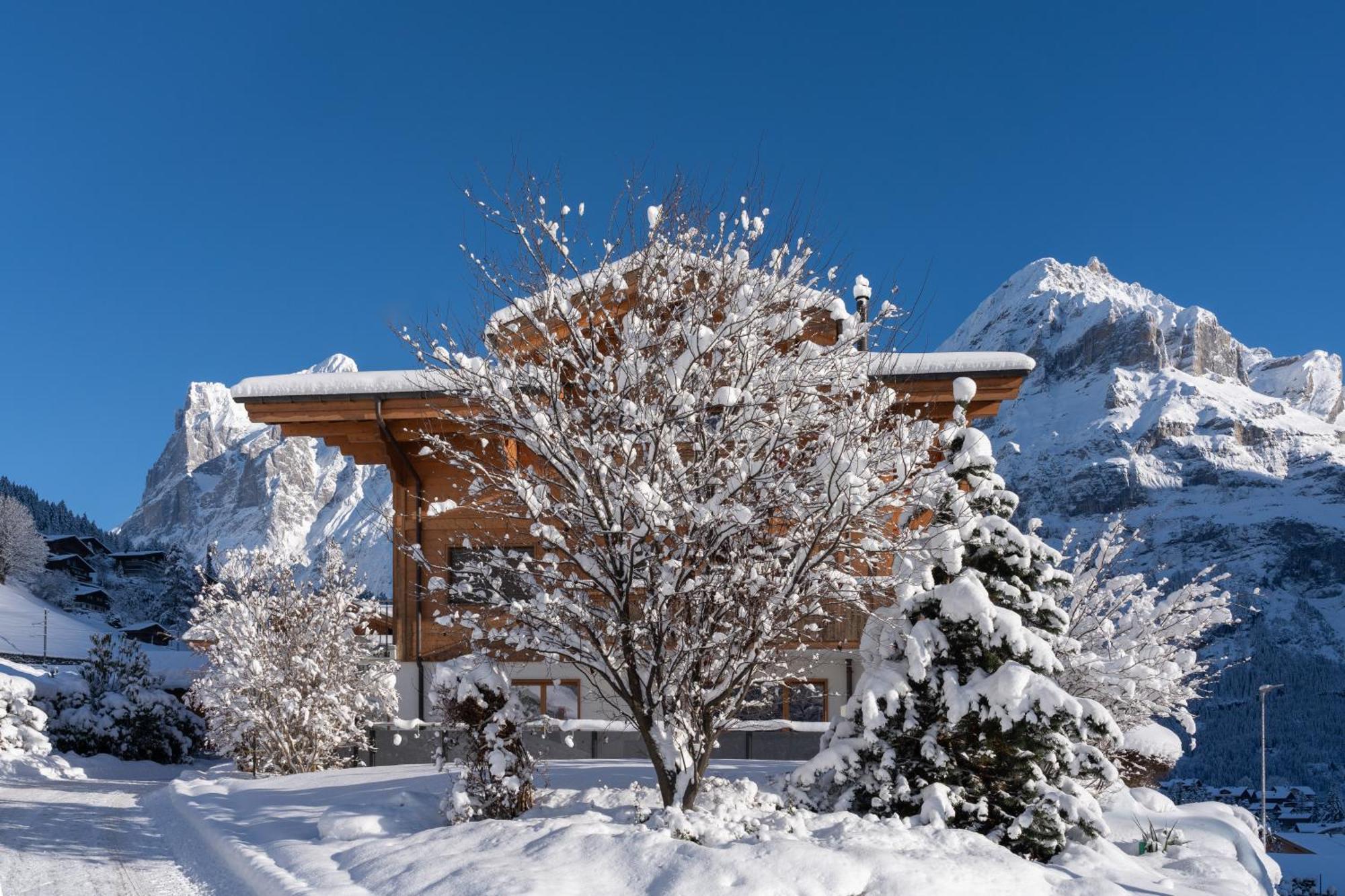 Chalet Alia - Swiss Hotel Apartments Grindelwald Exterior foto