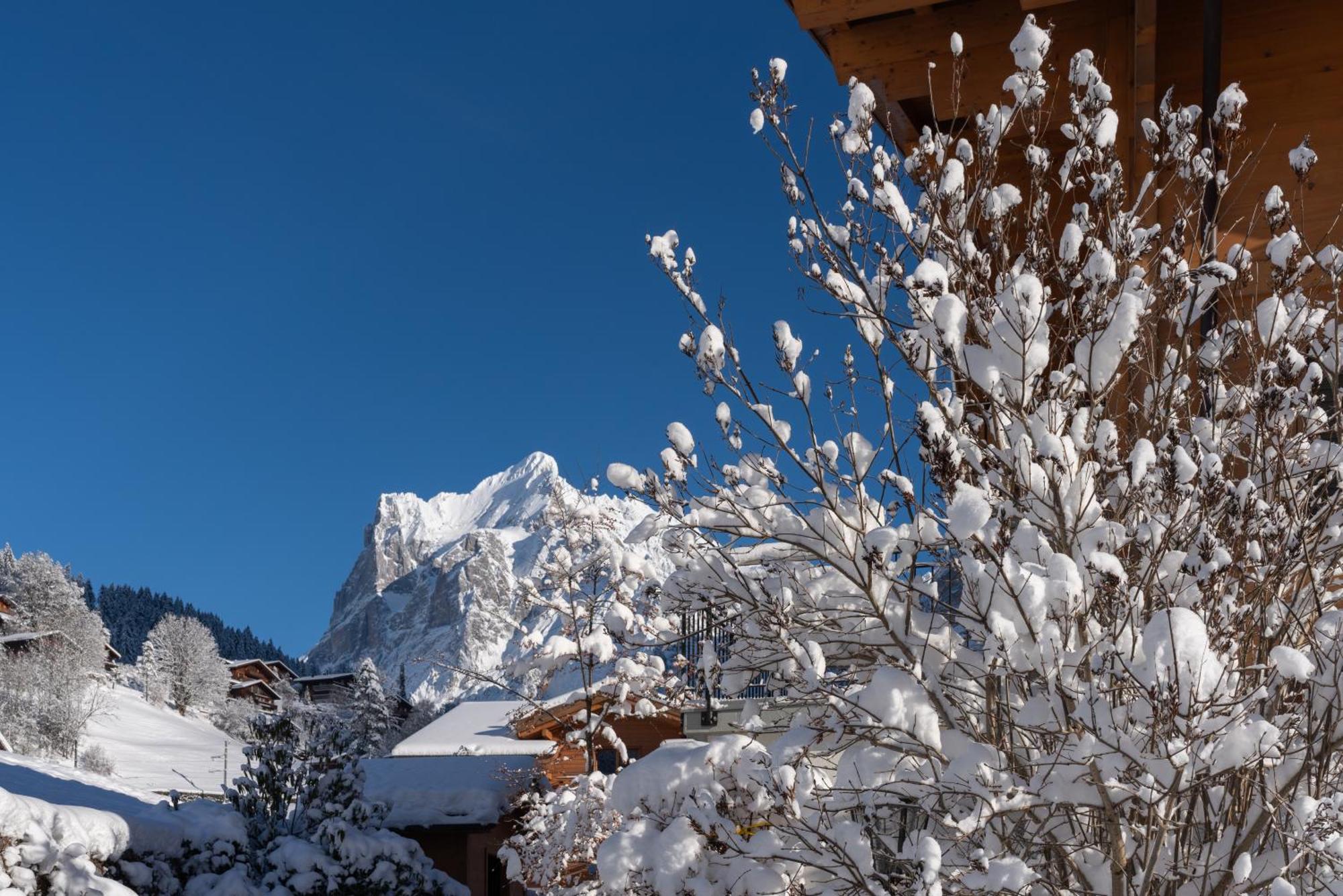 Chalet Alia - Swiss Hotel Apartments Grindelwald Exterior foto